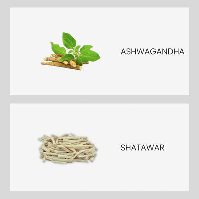 Ingredient