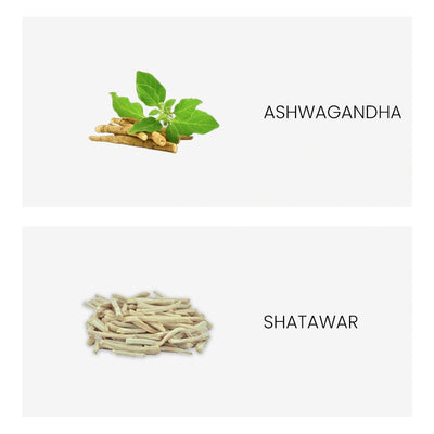 Ingredient