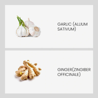 Ingredient