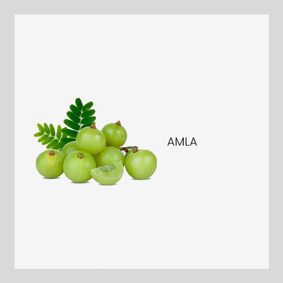 Ingredient