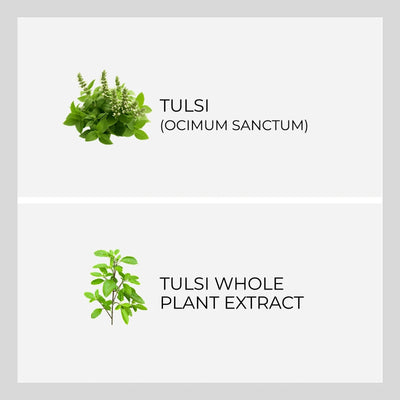 Ingredient