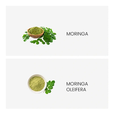 Ingredient
