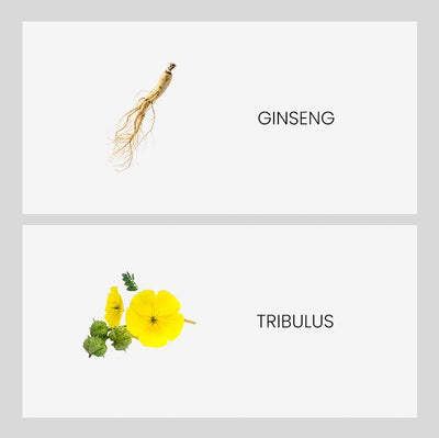 Ingredient