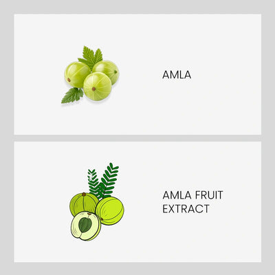 Ingredient