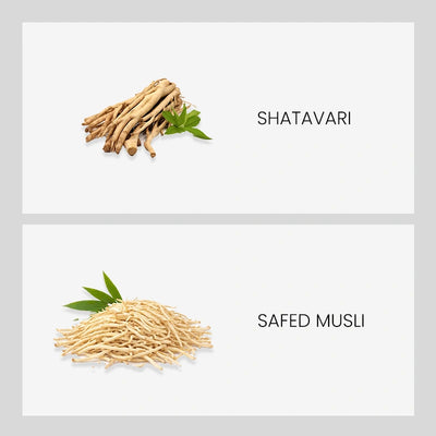 Ingredient