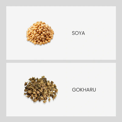 Ingredient