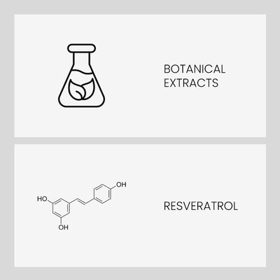 Ingredient