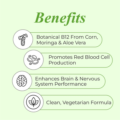 Patanjali Nutrela Natural Plant-Based Vitamin B12 (Pack of 2) | Natural Moringa-Based Veg B12 for Daily Energy & Stamina | Made in Bharat