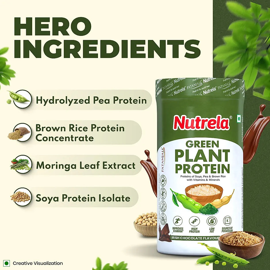 Patanjali Nutrela Green Plant Protein - Irish Chocolate - 500g