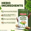 Patanjali Nutrela Green Plant Protein - Irish Chocolate - 500g