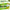 Patanjali Nutrela Moringa 60 X 2 Tablets (Pack of 2)