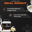Patanjali Nutrela Sports Mass Gainer French Vanilla-2KG