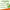 Patanjali Nutrela Vitamin B12 - 30 X 3 Veg Capsules (Pack of 3)