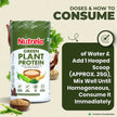Patanjali Nutrela Green Plant Protein - Irish Chocolate - 500g