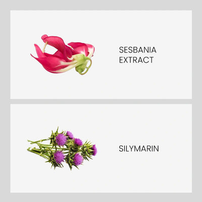Ingredient