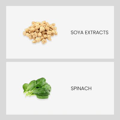Ingredient