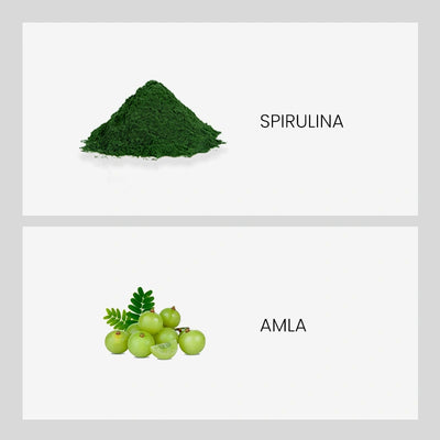 Ingredient