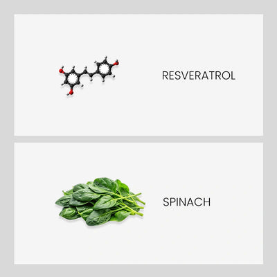 Ingredient