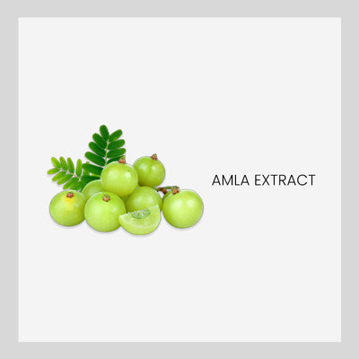 Ingredient
