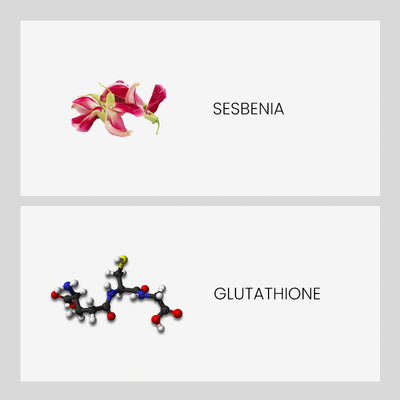 Ingredient