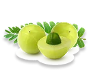 Amla Extract