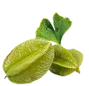 Arjuna & Ginkgo Biloba