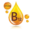 Bio-Fermented Vitamin B12