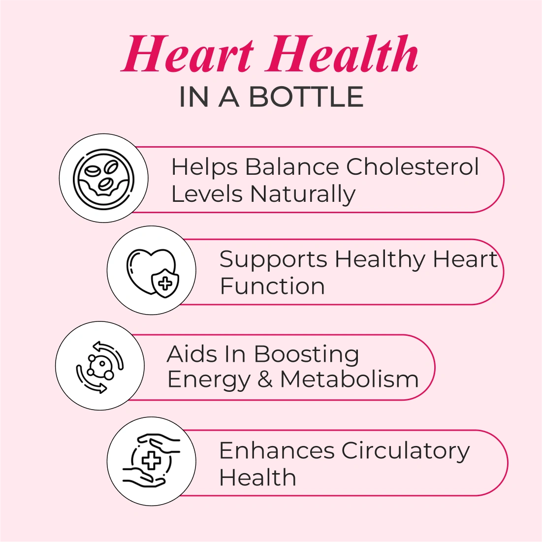 Patanjali Garlic & Ginger Cholesterol Care Liquid Bottle (500 ml)