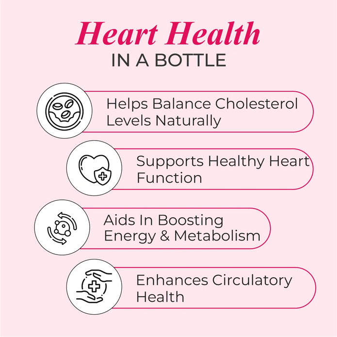 Patanjali Garlic & Ginger Cholesterol Care Liquid Bottle (500 ml)