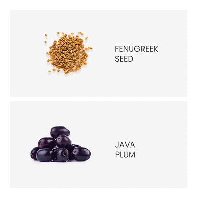 Ingredient