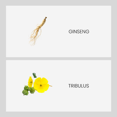 Ingredient