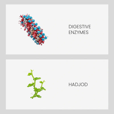 Ingredient