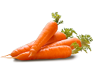 Daucus Carota (Carrot Extract)