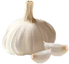Garlic (Allium sativum)