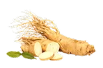 Ginseng