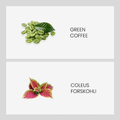 Ingredient