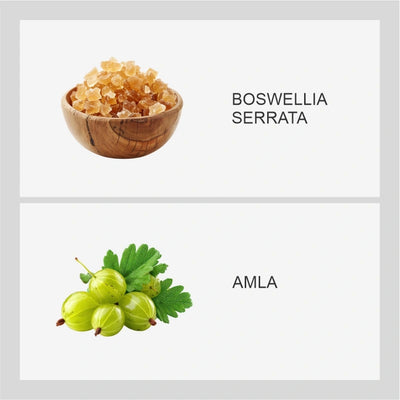 Ingredient