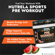 Patanjali Nutrela Sports Pre - Workout (300g) - Watermelon Flavour