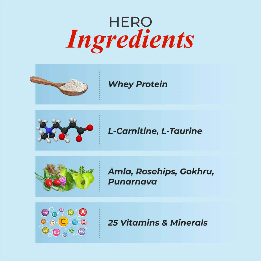 Patanjali Nutrela Renal Health Powder (400gm)