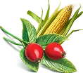 Rose Hip & Corn Extracts