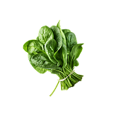 SPINACH