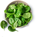 Spinach Extract