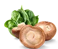 Spinach & Shiitake Mushroom Extracts