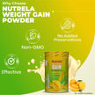 Patanjali Nutrela Weight Gain - Mango Flavour - 500g