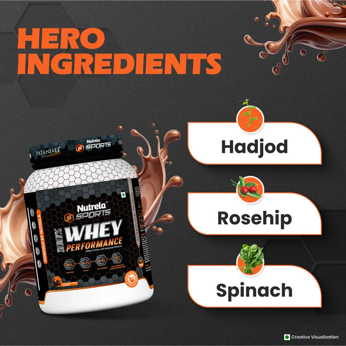 Patanjali Nutrela Sports 100% Whey Performance (Chocolate Irish) 1KG