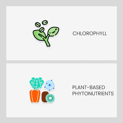 Ingredient