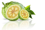 Garcinia Cambogia