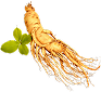 Ginseng for