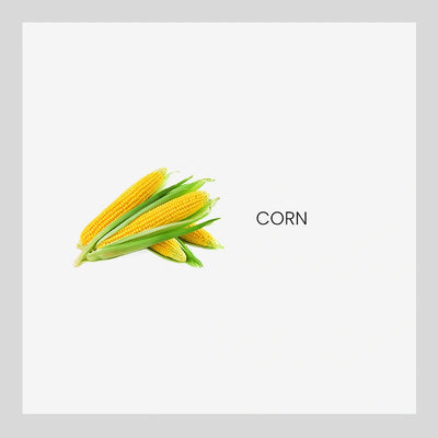 Ingredient