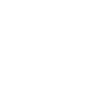 Mandoor Bhasma
